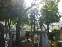 CIMG0668