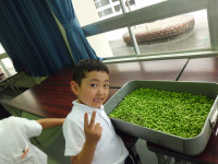 CIMG0791