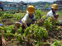 CIMG0611