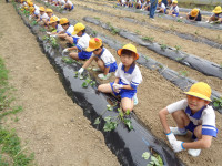 DSC02310