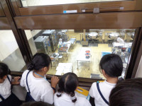 DSC00716