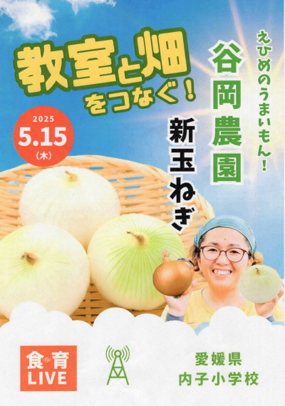 tamanegi_page-0001