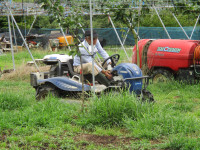 IMG_7739
