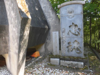 CIMG6328